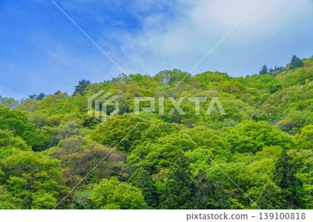 碧空之下,青山環繞,景色宜人。 碧空之下,青山環繞,景色宜人。 139100818