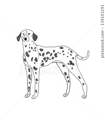 Dalmatian Dalmatian 139101291