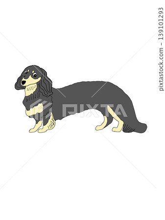 Dachshund Dachshund 139101293