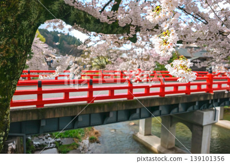 260411 Nakabashi Sakura z198 260411 Nakabashi Sakura z198 139101356