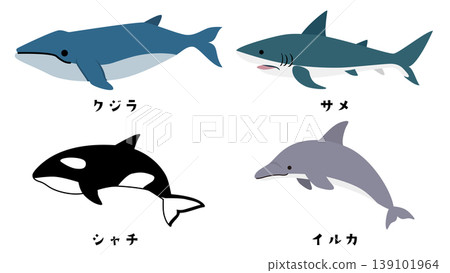 一組大型海洋生物的插圖：鯨魚、鯊魚、虎鯨和海豚。 139101964