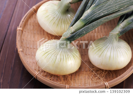 濾鍋裡的新鮮洋蔥 濾鍋裡的新鮮洋蔥 139102309