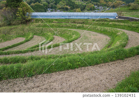 奈良縣高市郡飛鳥村的春日山村風光 139102431