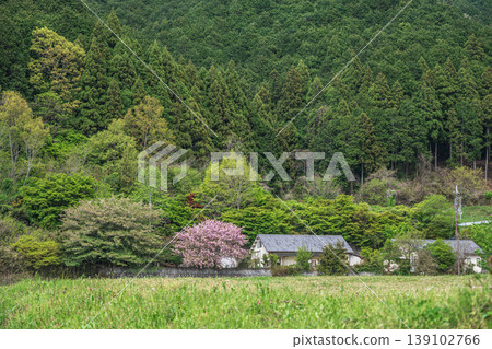 Springtime mountain village scenery, Asuka Village, Takaichi District, Nara Prefecture Springtime mountain village scenery, Asuka Village, Takaichi District, Nara Prefecture 139102766