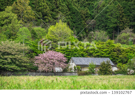 Springtime mountain village scenery, Asuka Village, Takaichi District, Nara Prefecture Springtime mountain village scenery, Asuka Village, Takaichi District, Nara Prefecture 139102767