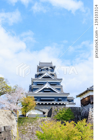 Kumamoto Castle in Spring, Kumamoto City, Kumamoto Prefecture 139103314