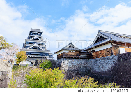 Kumamoto Castle in Spring, Kumamoto City, Kumamoto Prefecture 139103315