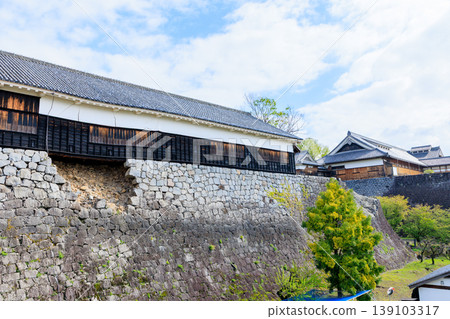 Kumamoto Castle in Spring, Kumamoto City, Kumamoto Prefecture 139103317