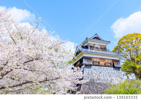 Kumamoto Castle and cherry blossoms in spring; Hitsujisaru Turret; Kumamoto City, Kumamoto Prefecture Kumamoto Castle and cherry blossoms in spring; Hitsujisaru Turret; Kumamoto City, Kumamoto Prefecture 139103335