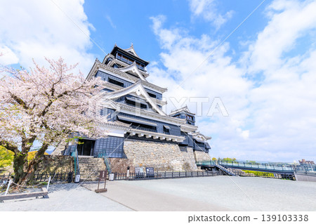 Kumamoto Castle and cherry blossoms in spring, Kumamoto City, Kumamoto Prefecture 139103338