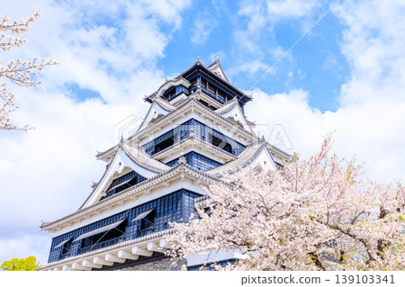 Kumamoto Castle and cherry blossoms in spring, Kumamoto City, Kumamoto Prefecture Kumamoto Castle and cherry blossoms in spring, Kumamoto City, Kumamoto Prefecture 139103341