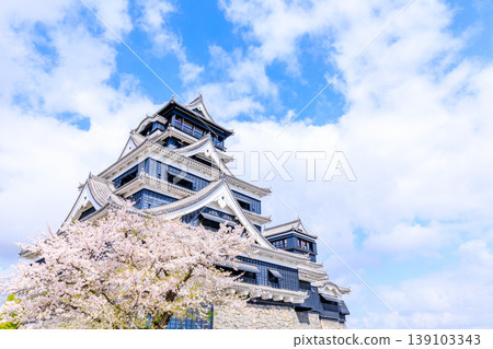 熊本城和春天的櫻花，熊本縣熊本市 139103343