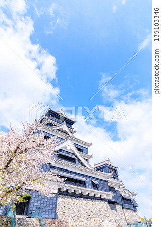 Kumamoto Castle and cherry blossoms in spring, Kumamoto City, Kumamoto Prefecture 139103346