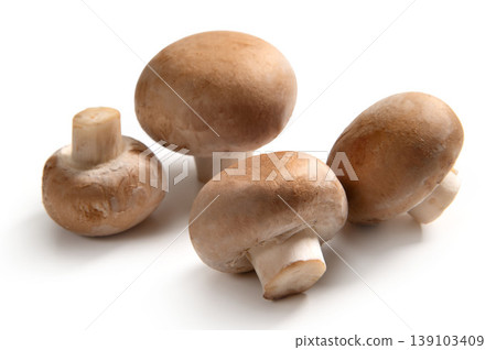 棕色蘑菇 棕色蘑菇 139103409