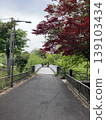 一座橫跨夏秋兩季的橋樑 139103434