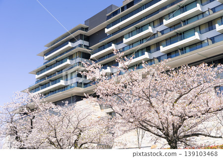 Espacio Nagoya Castle Hotel and cherry blossoms Espacio Nagoya Castle Hotel and cherry blossoms 139103468