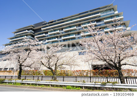Espacio Nagoya Castle Hotel and cherry blossoms Espacio Nagoya Castle Hotel and cherry blossoms 139103469