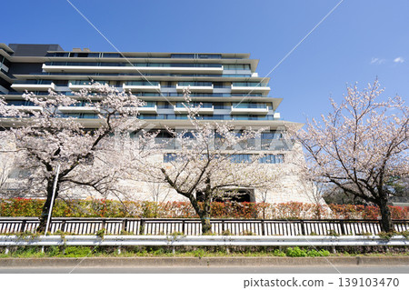 Espacio Nagoya Castle Hotel and cherry blossoms Espacio Nagoya Castle Hotel and cherry blossoms 139103470