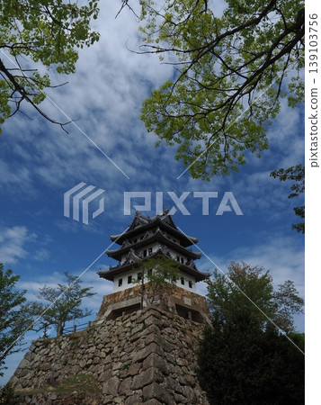 Sumoto Castle stands atop Mount Mikuma, a castle landscape surrounded by historic stone walls and lush greenery. 139103756