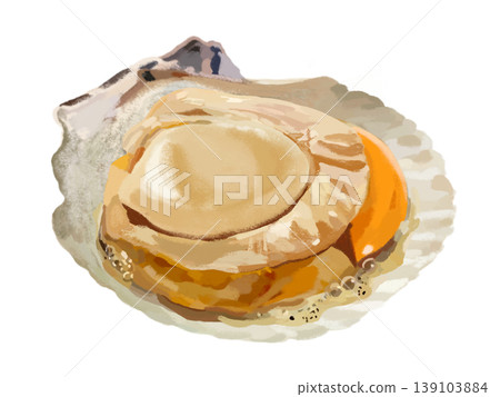 Grilled scallops in their shells 139103884