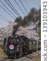 SL Paleo Express and cherry blossom trees 139103943