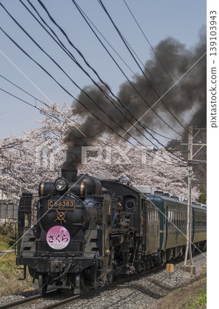 SL Paleo Express and cherry blossom trees SL Paleo Express and cherry blossom trees 139103943