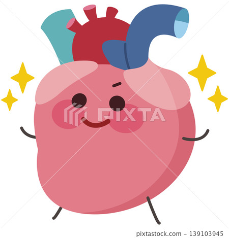Healthy right heart - with atrial appendage (facing left) 139103945