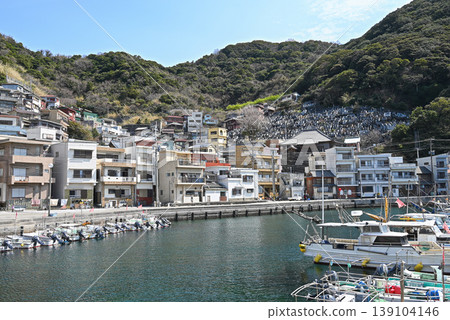 [Tsukumi City, Oita Prefecture] Scenery of the port and densely packed settlements on Hotojima Island 139104146