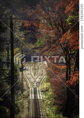 The Maya Cable Car tracks surrounded by autumn foliage. The Maya Cable Car tracks surrounded by autumn foliage. 139104195