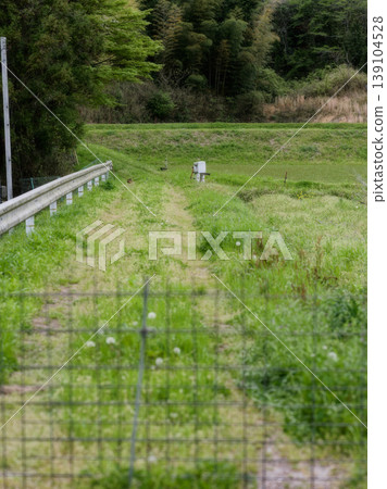 A farm road with a fence A farm road with a fence 139104528
