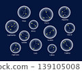 Zodiac Icon Set: 12 Zodiac Signs - Night Sky Constellation Illustration 139105008