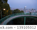 月出 139105012