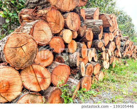 Piles of firewood Piles of firewood 139105446