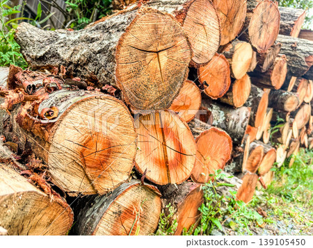 Stacked firewood Stacked firewood 139105450