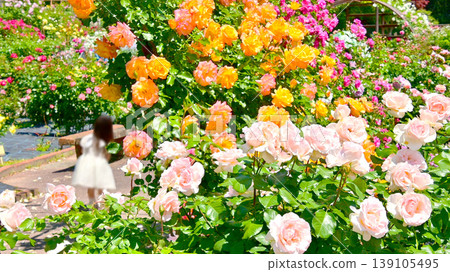 Nishiyama Park, where roses are in full bloom. Nishiyama Park, where roses are in full bloom. 139105495