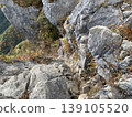 Mt. Futako mountain trail 139105520