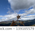 The sky seen from the trees and plants at the mountaintop 139105579