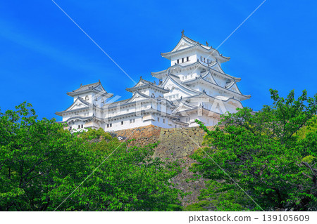 [Hyogo Prefecture] Fresh greenery at Himeji Castle (World Heritage Site) 139105609