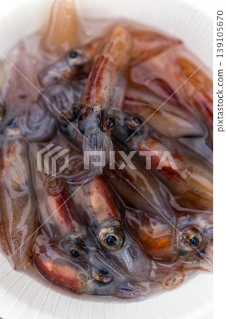 Firefly squid 139105670