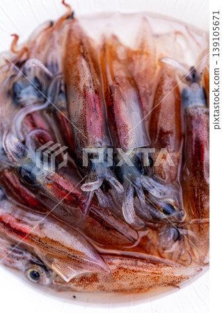 螢火蟲魷魚 螢火蟲魷魚 139105671