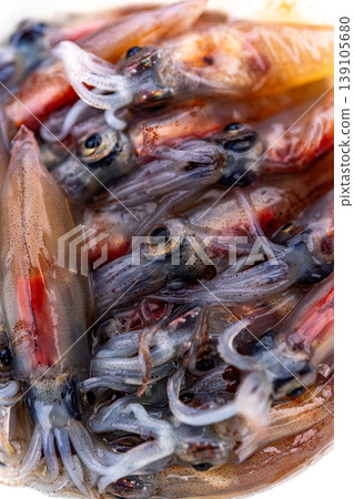 Firefly squid 139105680