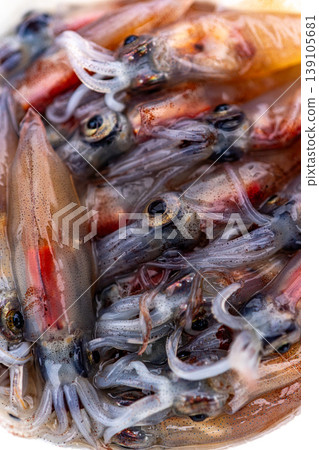 Firefly squid Firefly squid 139105681