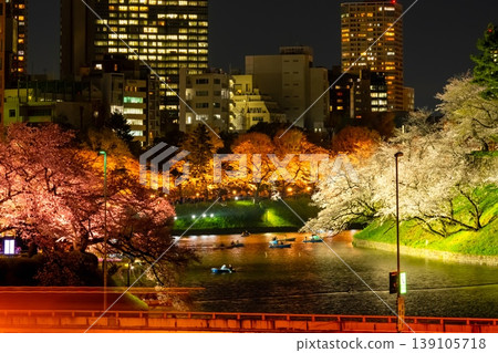 東京千鳥淵的夜櫻 139105718