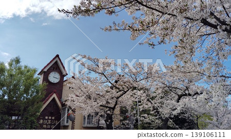 A building with a large clock and a spring scene of cherry blossoms. 139106111