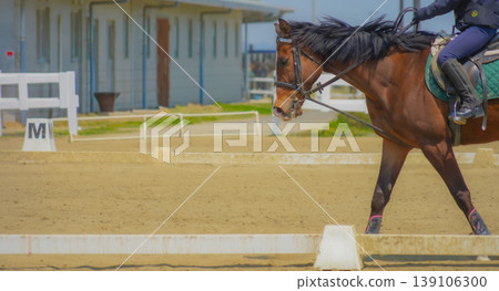 Sideways walk in dressage Sideways walk in dressage 139106300