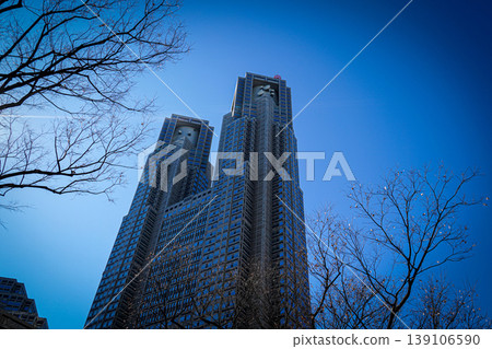 Tokyo Metropolitan Government Office 139106590