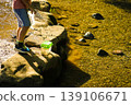 Catching insects by the river 139106671