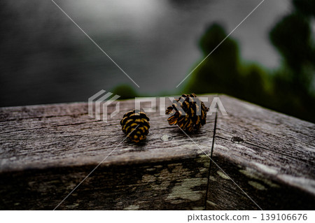 Wooden fence and pine cones Wooden fence and pine cones 139106676