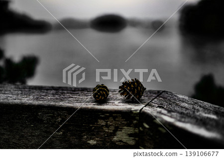 monochrome pinecone monochrome pinecone 139106677