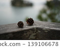 Pine cones by the lake 139106678